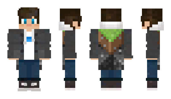 Minecraft skin Steoerz