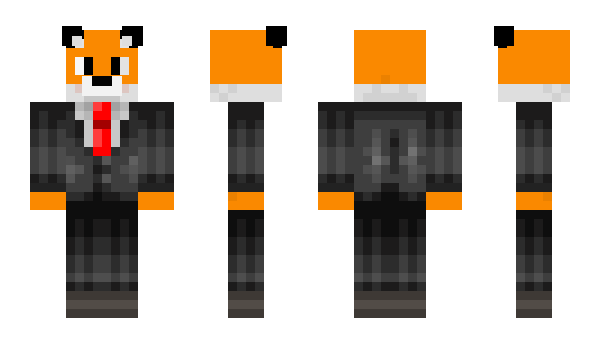 Minecraft skin ROKR