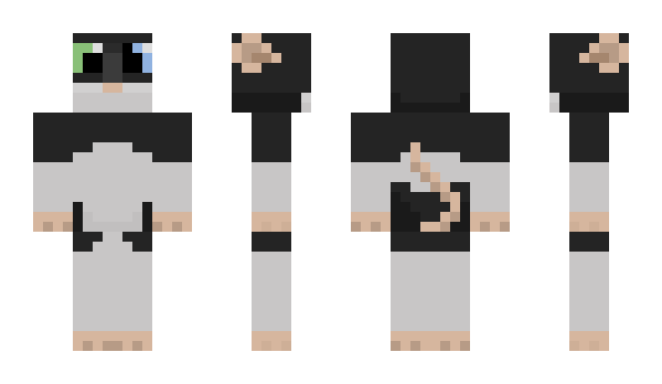 Minecraft skin Dervius