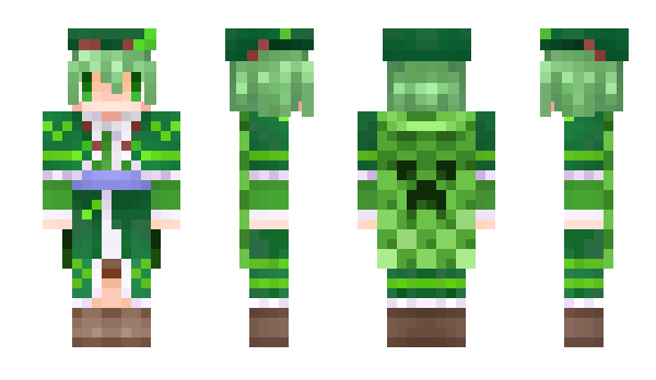 Minecraft skin Dreamturtle