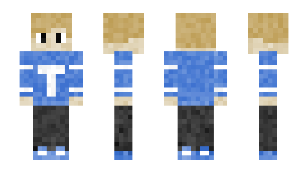 Minecraft skin Stylec