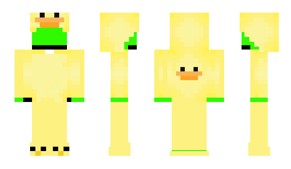 Minecraft skin FZMM