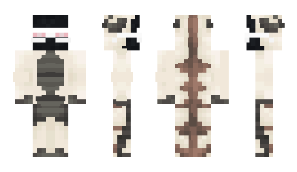 Minecraft skin DefinitelyNotEm