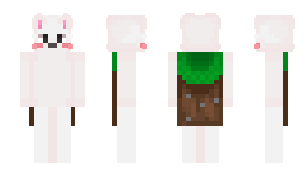Minecraft скин по нику SotaVPN