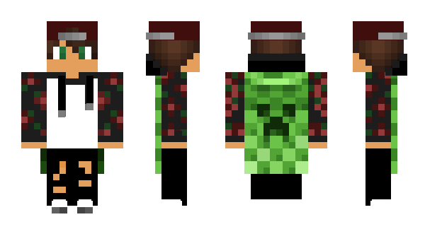 Minecraft skin Ernisss1337