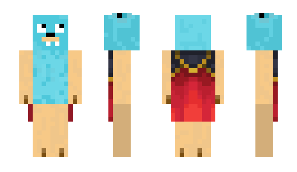 Minecraft skin nilslm_
