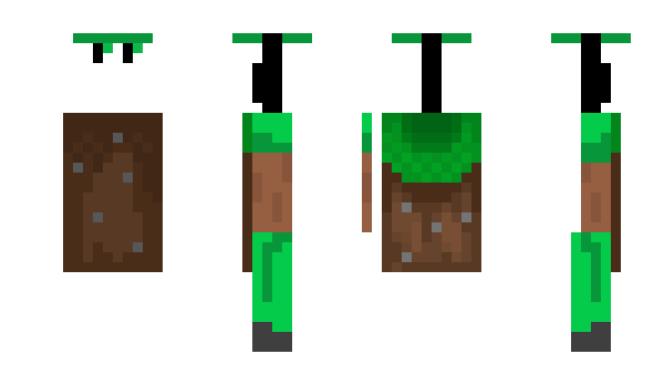 Minecraft скін по ніку Tom123987