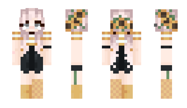 Minecraft skin wcipher