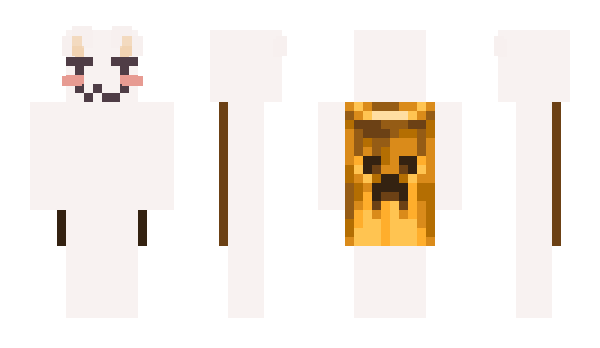 Minecraft skin DatCat