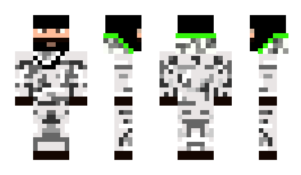 Minecraft skin BirCa