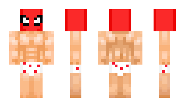 Minecraft skin elcnmusk