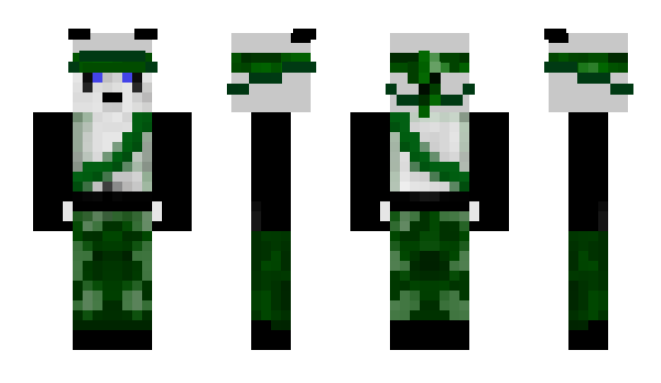 Minecraft skin Inconspicuous2