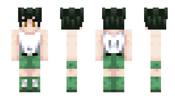 Minecraft skin Donfu