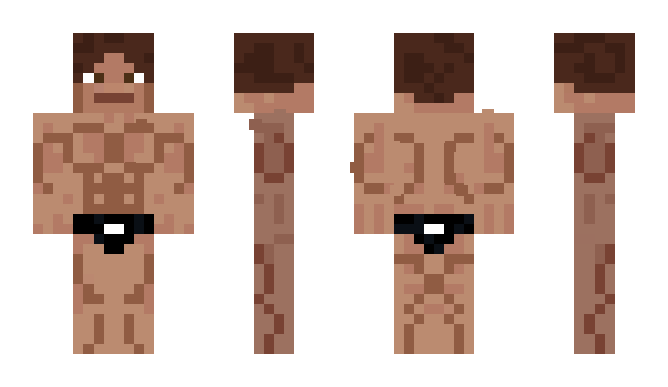 Minecraft skin Iquisitor