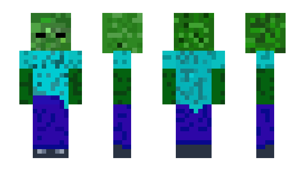 Minecraft skin donnyda