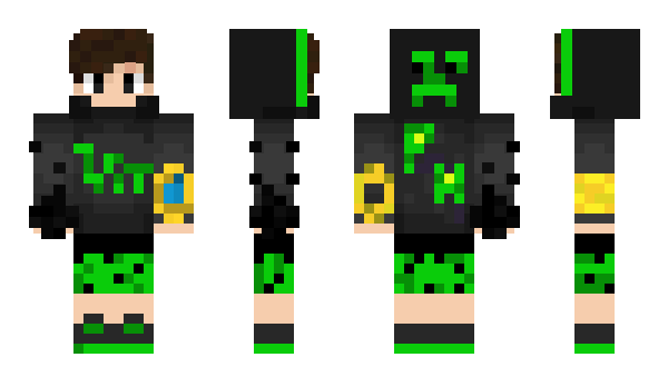 Minecraft skin PAHO