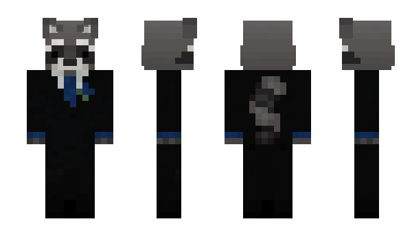 Minecraft skin Racgoon