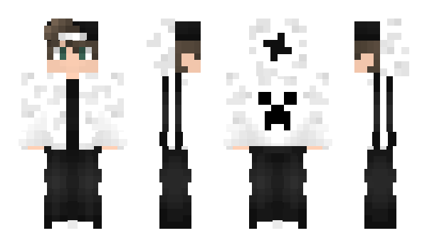 Minecraft skin LITS0