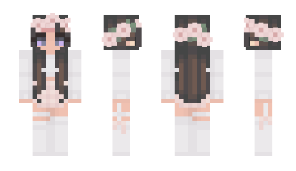 Minecraft skin Crazy_Dummy