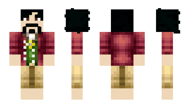 Minecraft skin PDFMan