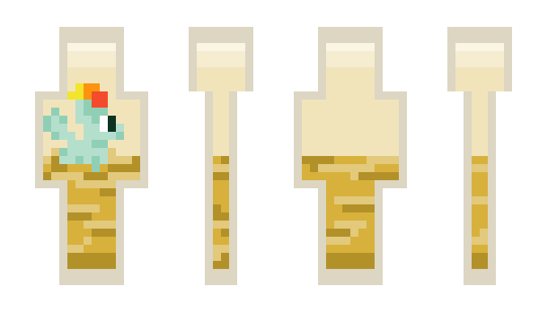 Minecraft skin klasi