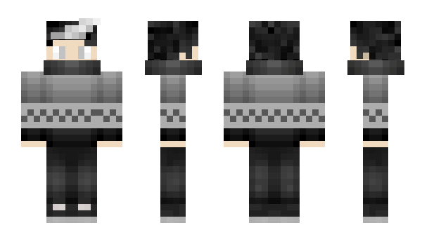 Minecraft skin Terray