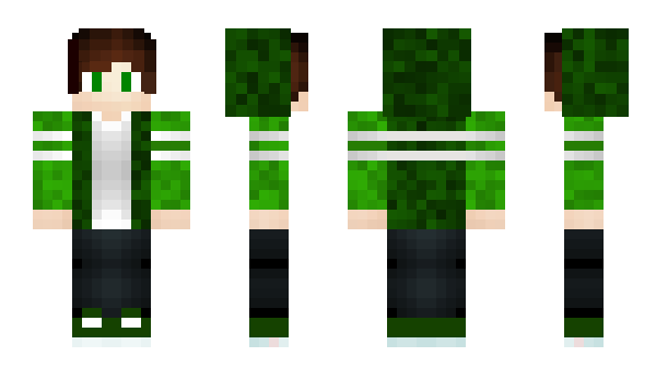 Minecraft скин по нику Texinho