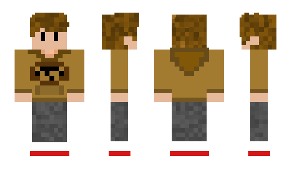 Minecraft skin wshe