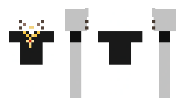 Minecraft skin Empety