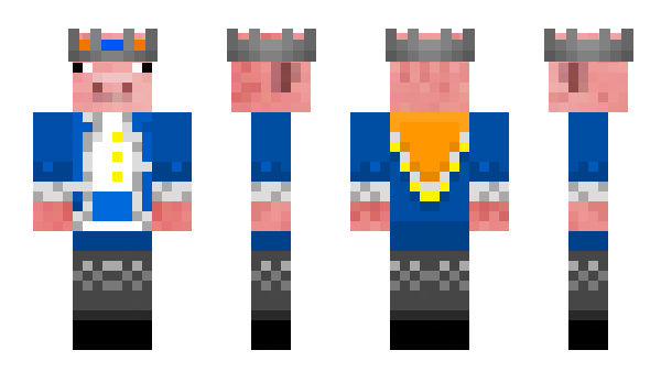 Minecraft skin FinFlam