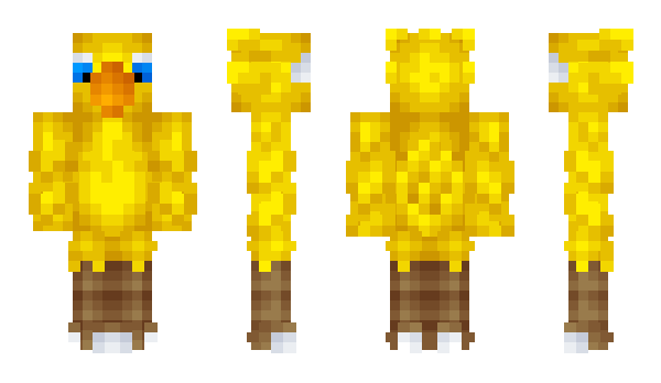 Minecraft skin akdanca