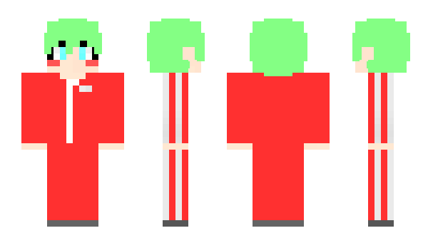 Minecraft skin hidden_D