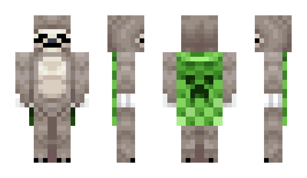 Minecraft skin pantor