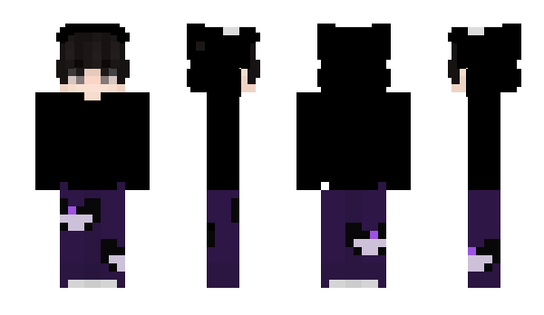 Minecraft skin hejduk