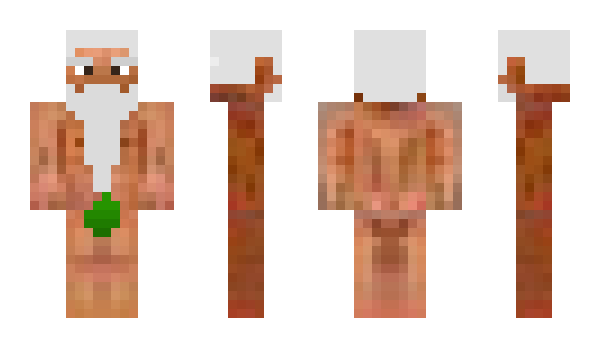 Minecraft skin TACO_MASTR