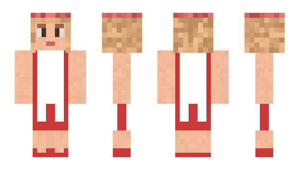 Minecraft skin Riket