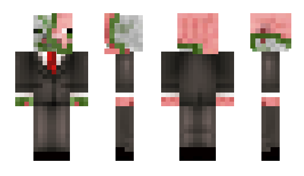 Minecraft skin zkzngl