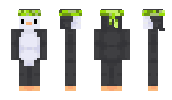 Minecraft skin BOSSSKIN