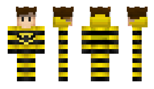 Minecraft skin Wasp_