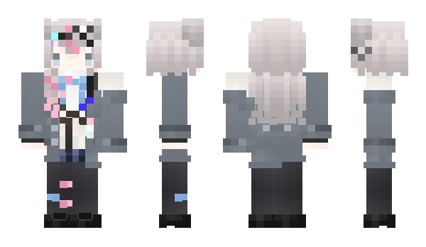 Minecraft skin VTlabrador