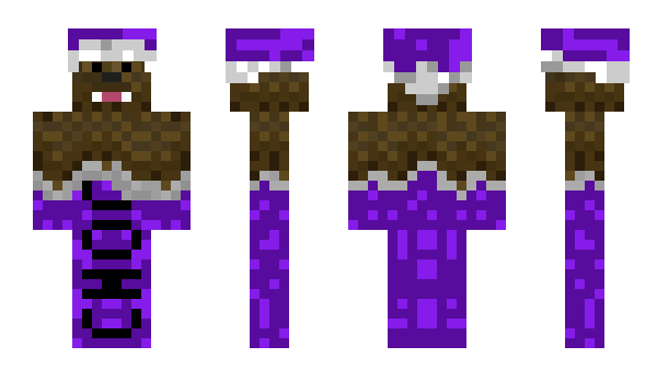 Minecraft skin BaccaGaming