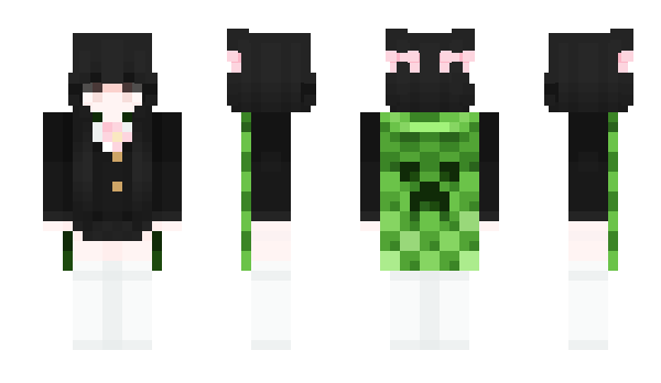 Minecraft skin STEVENOGG