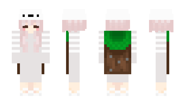 Minecraft skin Chinom