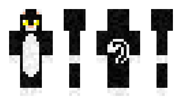 Minecraft skin MrChocoPL