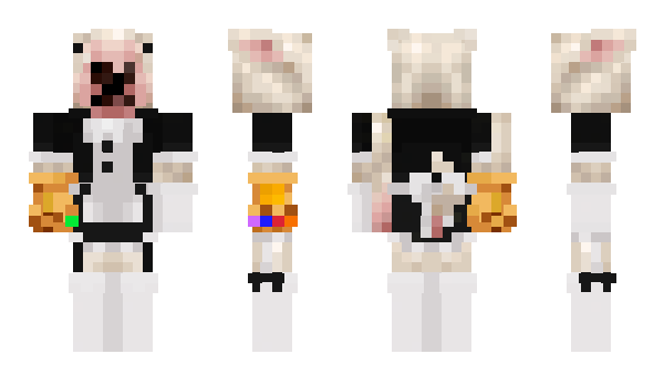 Minecraft skin cerebralpares