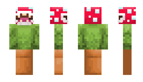 Minecraft skin DAYZ4DAYS