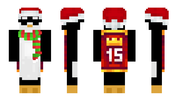 Minecraft skin Playerwayer