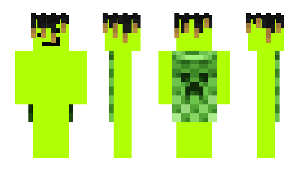 Minecraft skin PoppyBull858