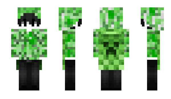 Minecraft skin Pteri