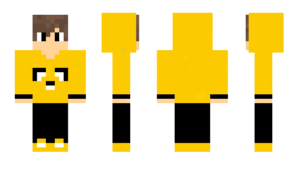 Minecraft skin Humand